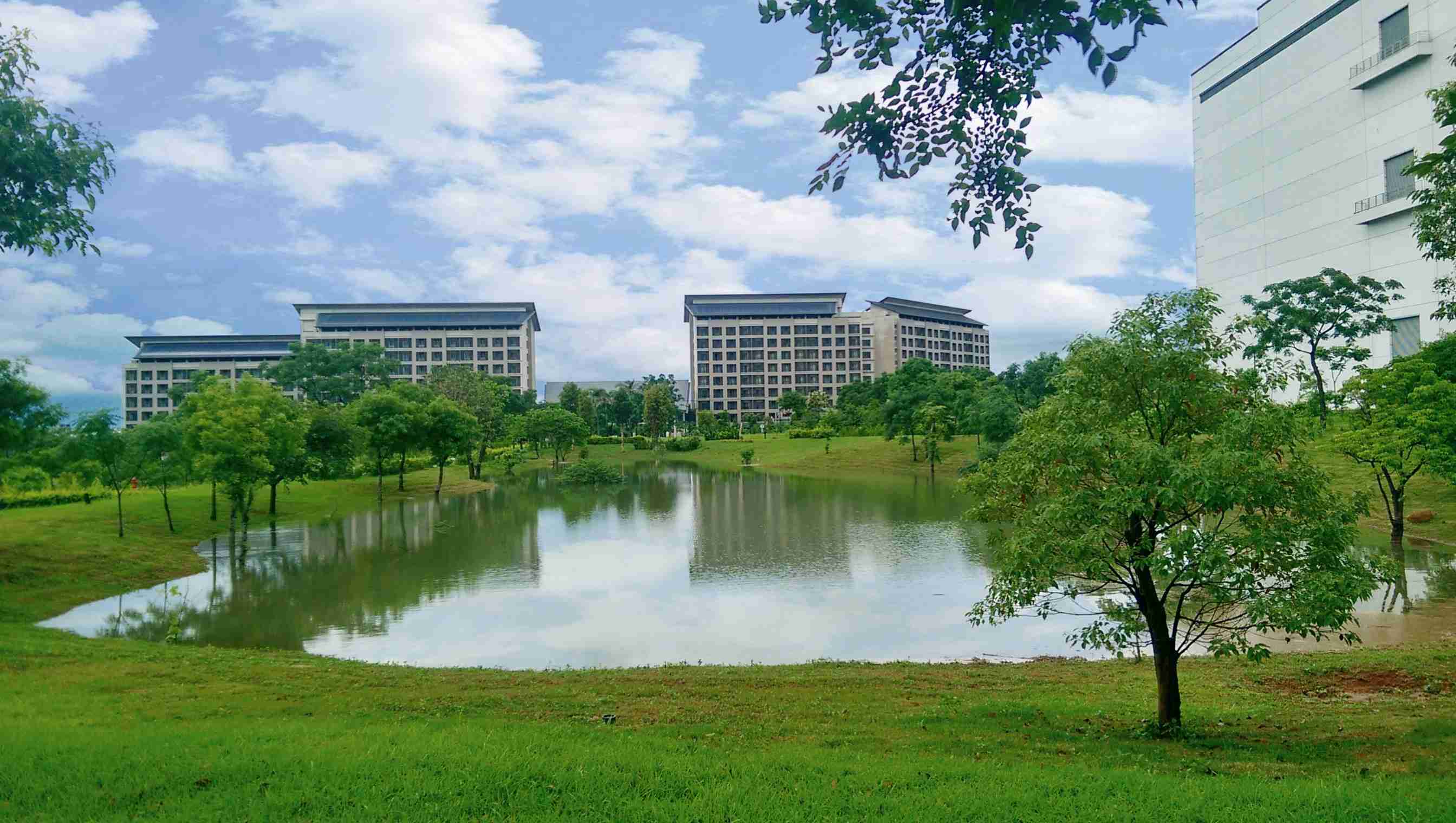 至成国际响应国际倡议生物多样性趋势，，，首次发布TNFD自然相关财务揭露报告书，，，擘划及开展至成国际生物多样性政策之承诺，，逐步迈向与自然和谐共生